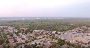 What to do in Norwood Park!